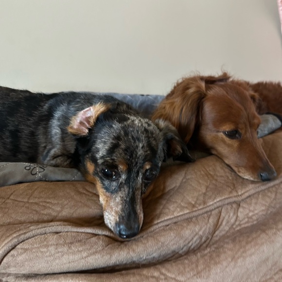 Meet your Posher, Faith - Picture 1 of 1